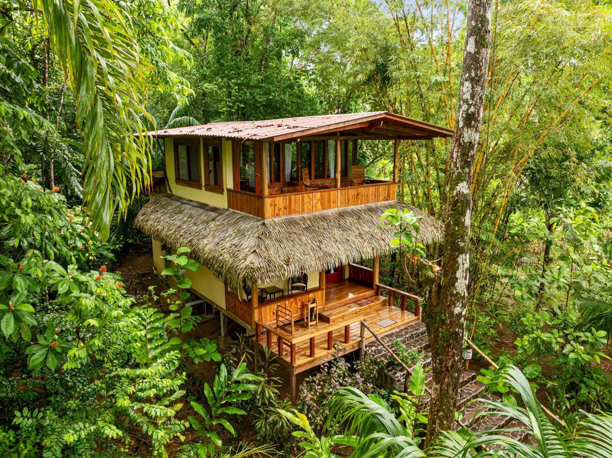 Copa De Arbol Beach & Rainforest Resort Drake Bay Ngoại thất bức ảnh