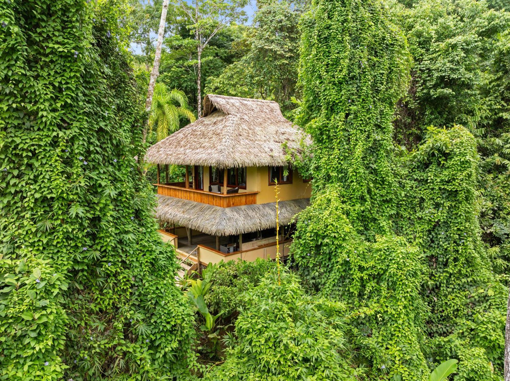 Copa De Arbol Beach & Rainforest Resort Drake Bay Ngoại thất bức ảnh