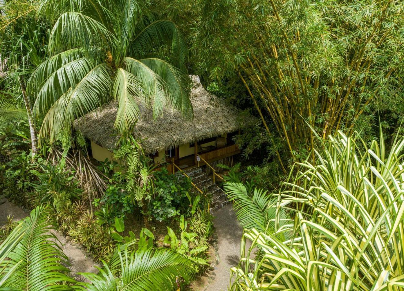 Copa De Arbol Beach & Rainforest Resort Drake Bay Phòng bức ảnh