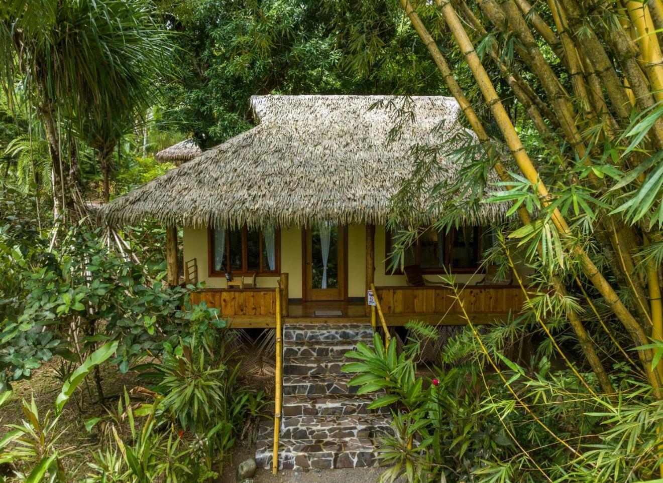 Copa De Arbol Beach & Rainforest Resort Drake Bay Ngoại thất bức ảnh