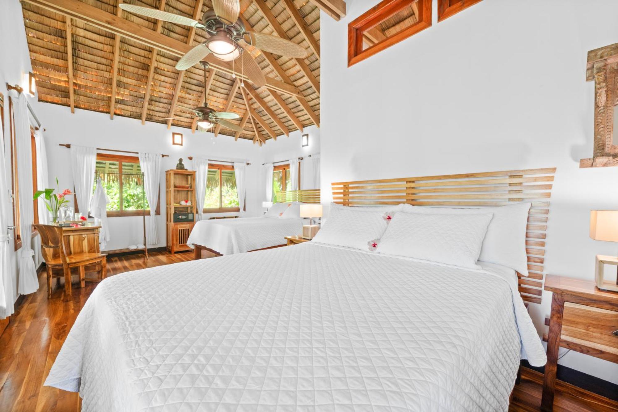 Copa De Arbol Beach & Rainforest Resort Drake Bay Phòng bức ảnh