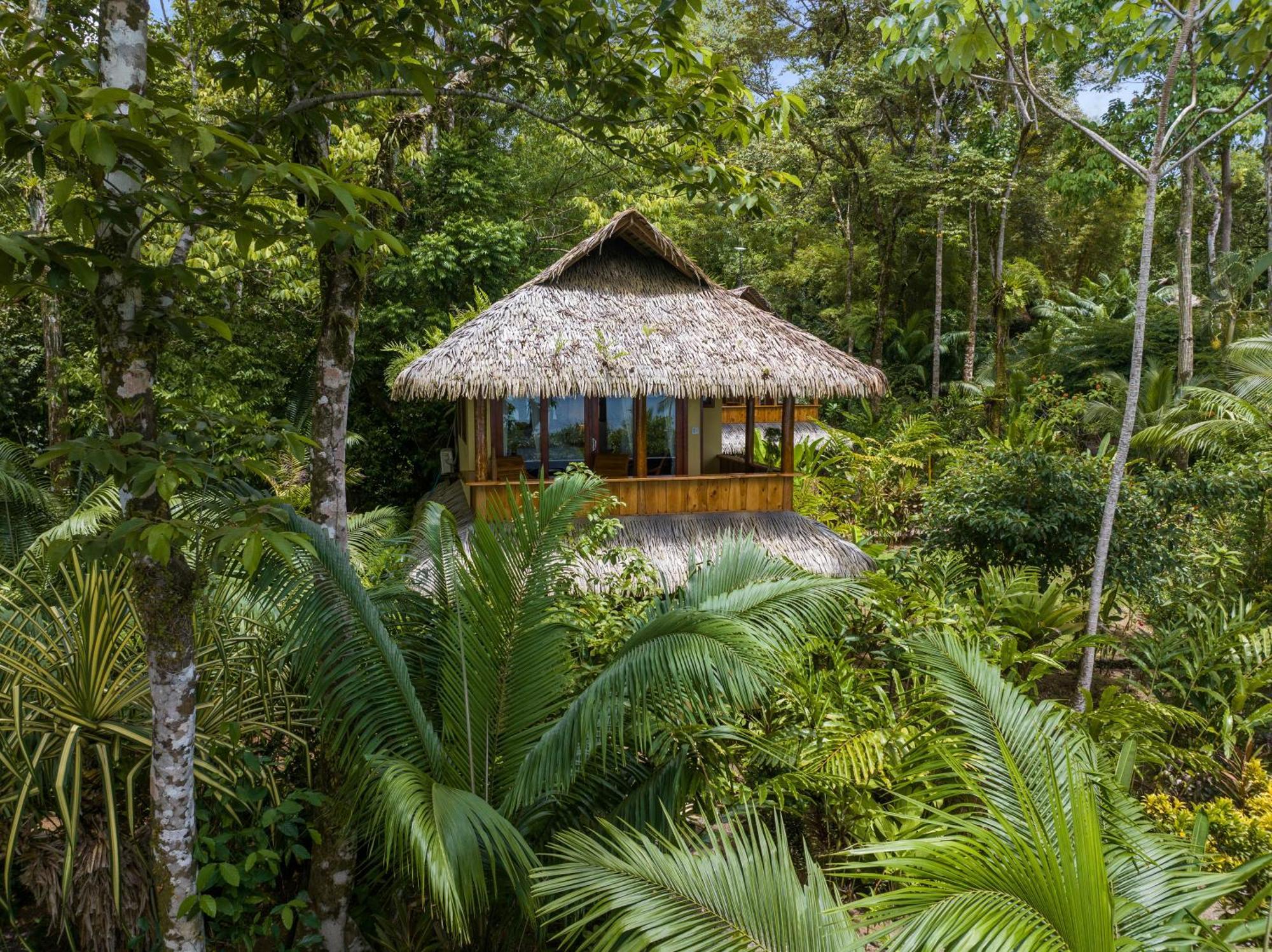 Copa De Arbol Beach & Rainforest Resort Drake Bay Phòng bức ảnh
