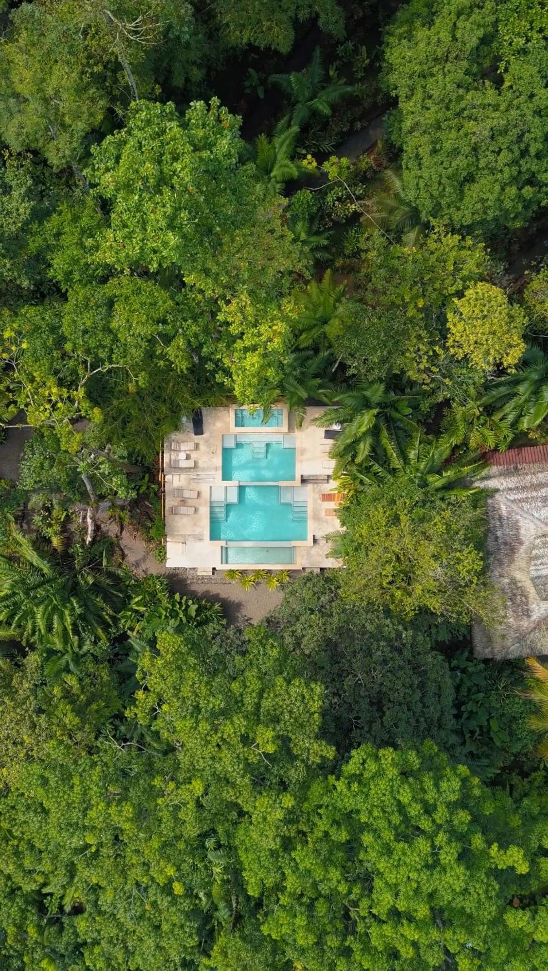 Copa De Arbol Beach & Rainforest Resort Drake Bay Ngoại thất bức ảnh