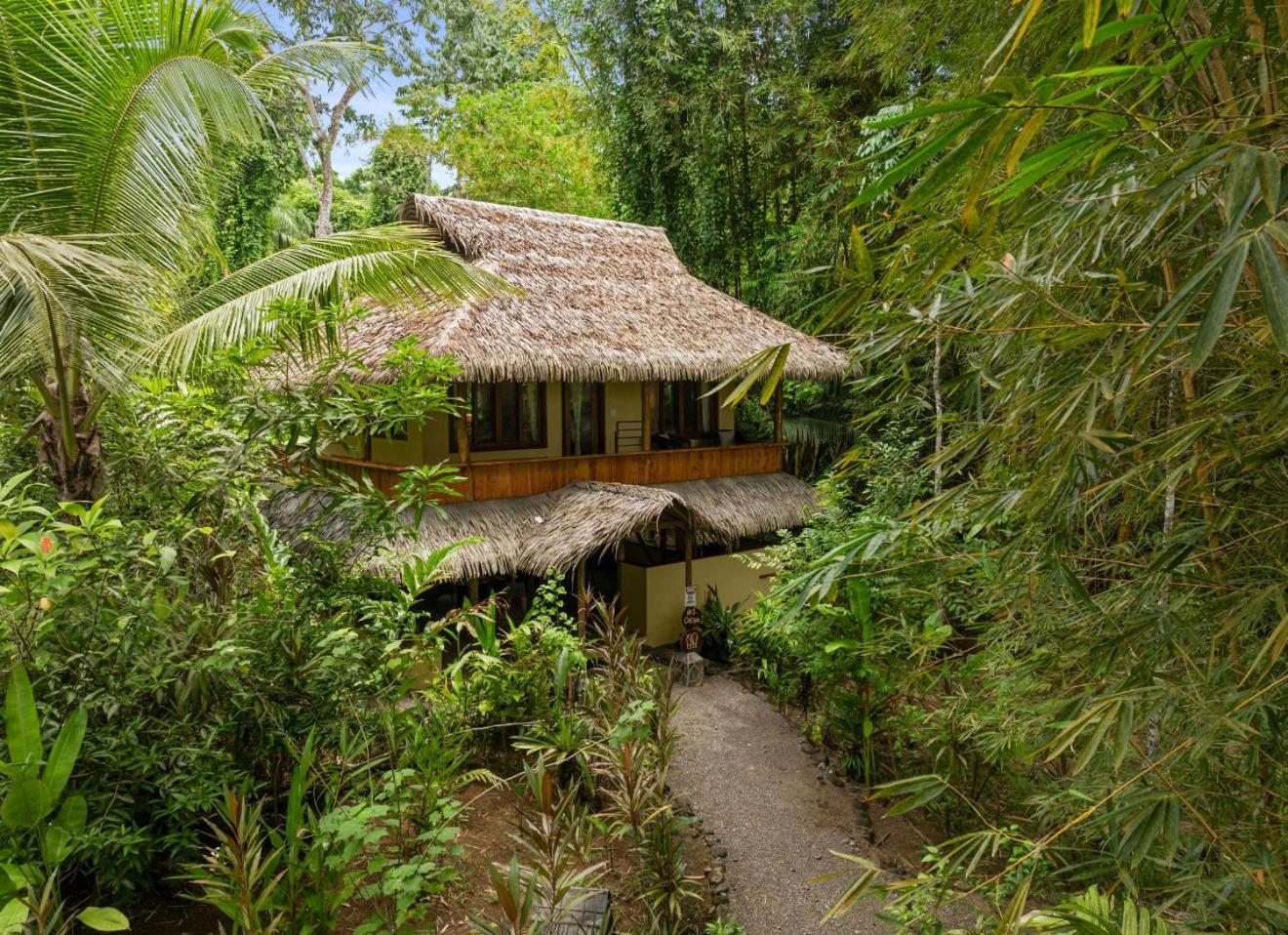 Copa De Arbol Beach & Rainforest Resort Drake Bay Ngoại thất bức ảnh