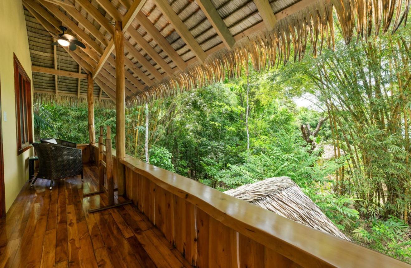 Copa De Arbol Beach & Rainforest Resort Drake Bay Ngoại thất bức ảnh
