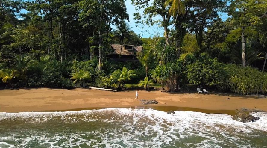 Copa De Arbol Beach & Rainforest Resort Drake Bay Ngoại thất bức ảnh