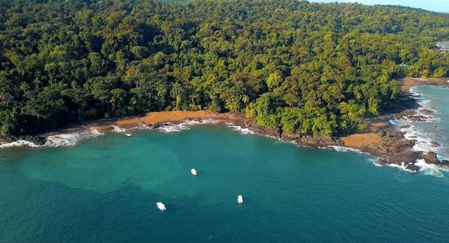 Copa De Arbol Beach & Rainforest Resort Drake Bay Ngoại thất bức ảnh