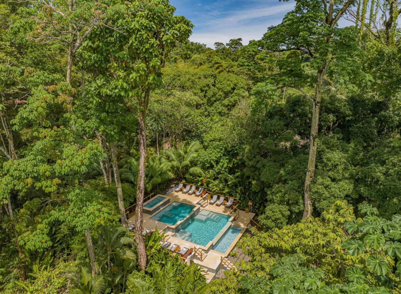 Copa De Arbol Beach & Rainforest Resort Drake Bay Ngoại thất bức ảnh