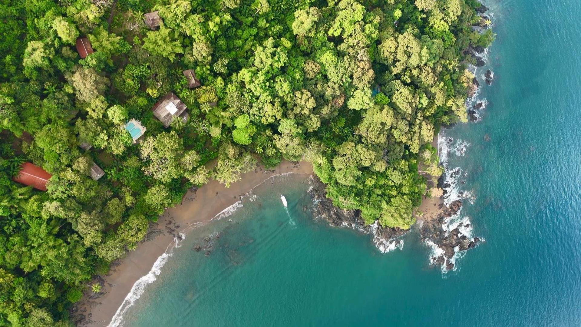 Copa De Arbol Beach & Rainforest Resort Drake Bay Ngoại thất bức ảnh