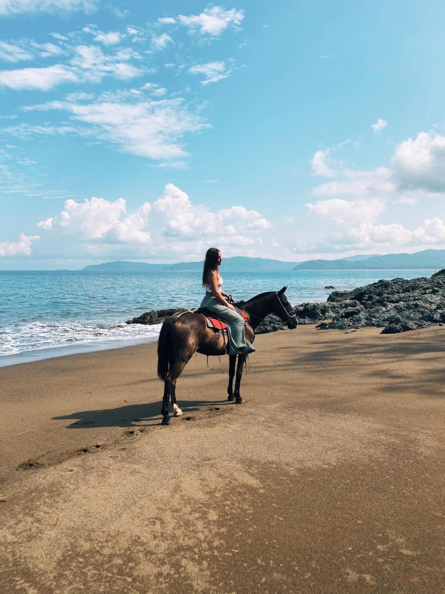 Copa De Arbol Beach & Rainforest Resort Drake Bay Ngoại thất bức ảnh